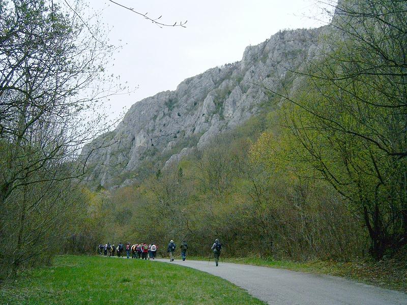 2012.04.14. 0008.jpg